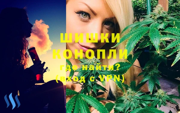 дживик Балахна