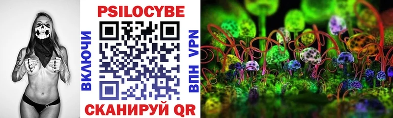 сколько стоит  Куровское  Псилоцибиновые грибы Cubensis 